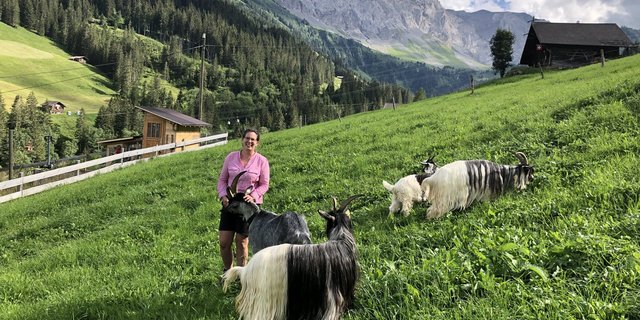 Sabina Bircher ist die Präsidentin des neuen Vereins Capra Sempione, Grüenochte Geiss und Kupferhalsziege. Sie schwärmt von den behuften Landschaftspflegern und ist überzeugt, dass die vom Aussterben bedrohten Rassen vor allem in steilem Gelände einsetzbar sind. (Bild Sabina Bircher)