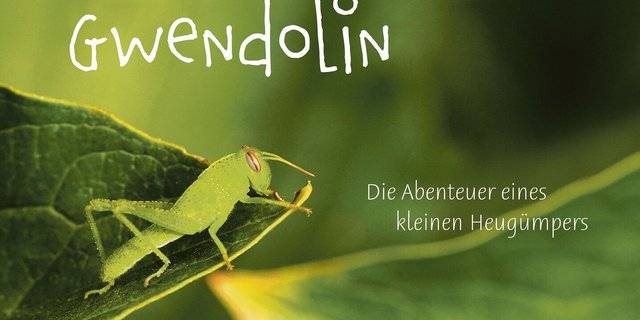Das Bilderbuch «Gwendolin» aus dem Schweizer Wörterseh-Verlag stellt die Welt der Garten-Insekten vor.