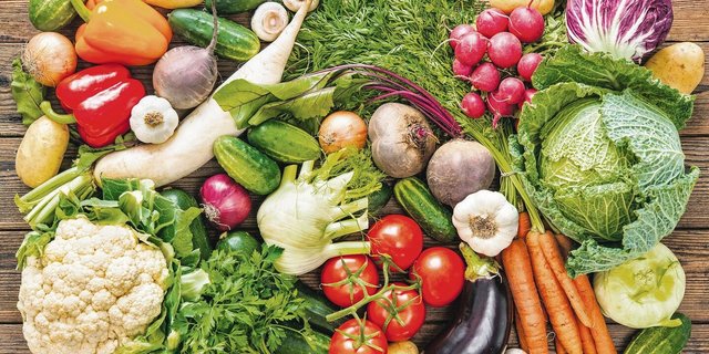 Gemüse aus dem eigenen Garten auf den Tisch zu bringen, rechnet sich. Allerdings muss die Arbeit Freude machen.