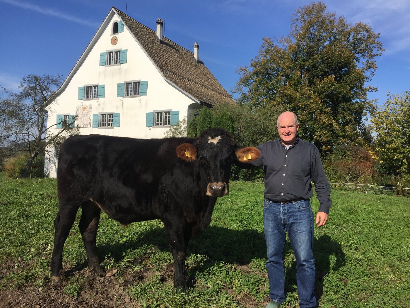 Eric Meili mit Stier Fanjo (Brown Swiss 78 % × Holstein 22 %). Fanjo erreichte in 713 Masttagen auf der Weide ohne Kraftfutter die Taxation T4,  ein Lebendgewicht von 761 kg und ein Schlachtgewicht von 403 kg. Meili selber gehöre zur Klasse  H4, scherzt er. (Bild Eric Meili)