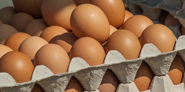 Was in keine Schachtel passt, kann nicht im Detailhandel verkauft werden und wandert in die Gastronomie oder Lebensmittelindustrie. (Bild Pixabay)