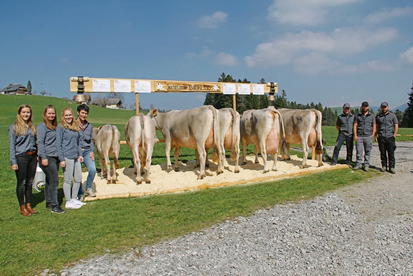 Dieses Jahr sind bei Braunvieh Schweiz 291 weibliche Zuchtfamilien angemeldet.(Bild Braunvieh Schweiz)