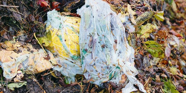 Es gibt Hinweise darauf, dass die Endprodukte von biologisch abbaubaren Kunststoffen tendenziell stärkere toxische Effekte erzeugen als die Rohstoffe, aus denen sie gewonnen werden. Solche «biologisch abbaubaren» Tüten sind oftmals gar nicht abbaubar.