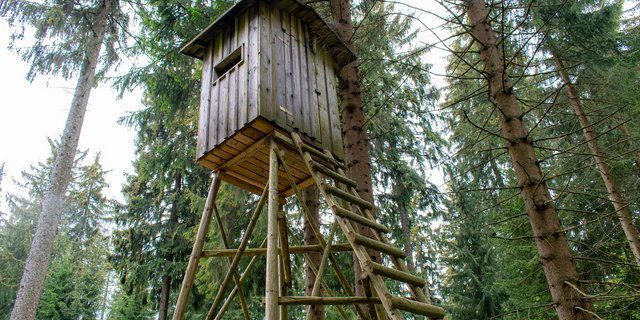 Die Abstimmung zum Jagdgesetz findet am 27. September statt. (Bild Cornell Frühauf/pixabay)