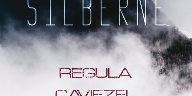Im Roman «Die Silberne» erzählt Regula Caviezel die Geschichte einer Frau, die sich in die Berge zurückgezogen hat.(Bild zVg)