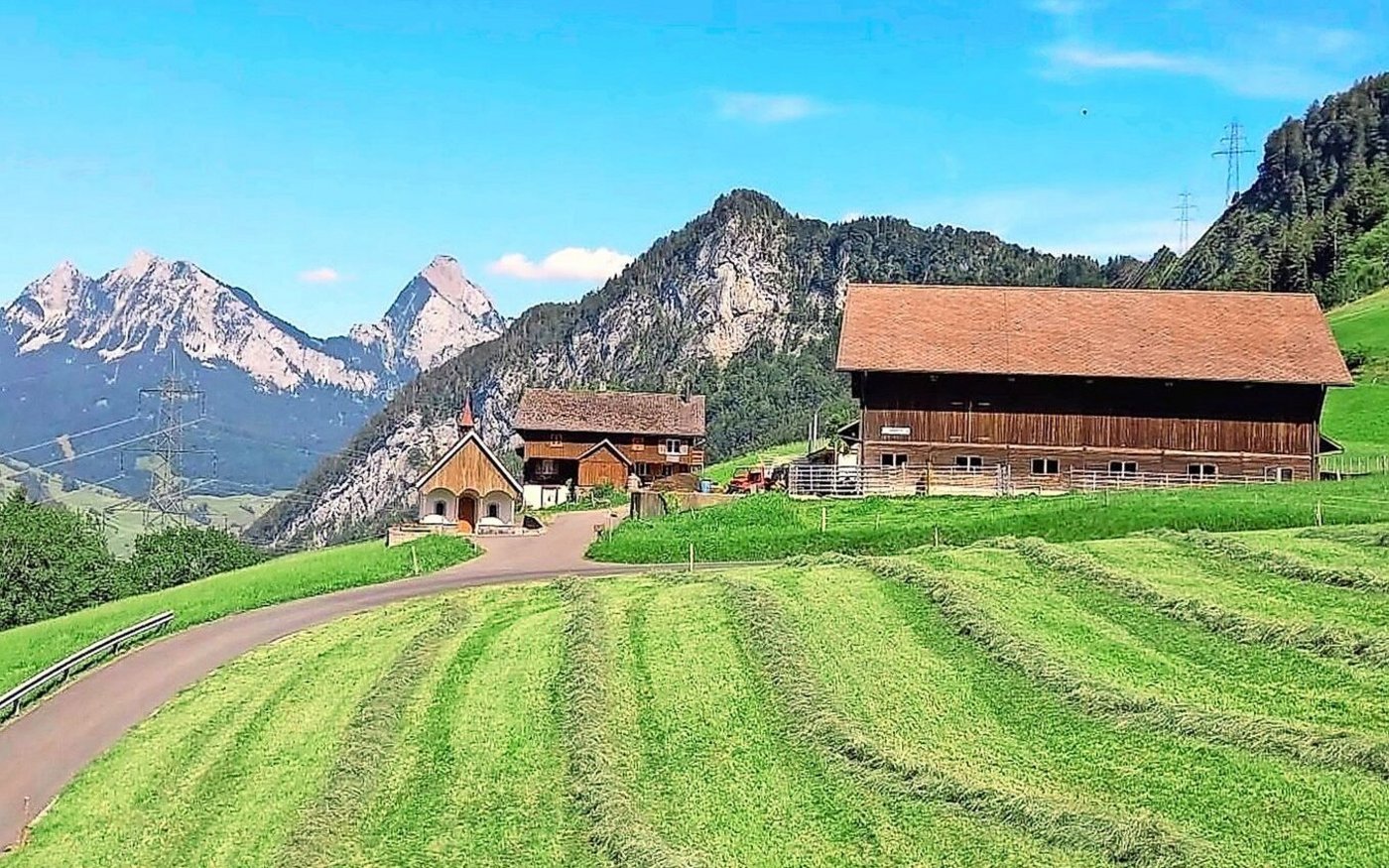 Zum Biohof Langberg gehören eine Kapelle, das Schwyzer Bauernhaus und der Laufstall für die Mutterkühe. 