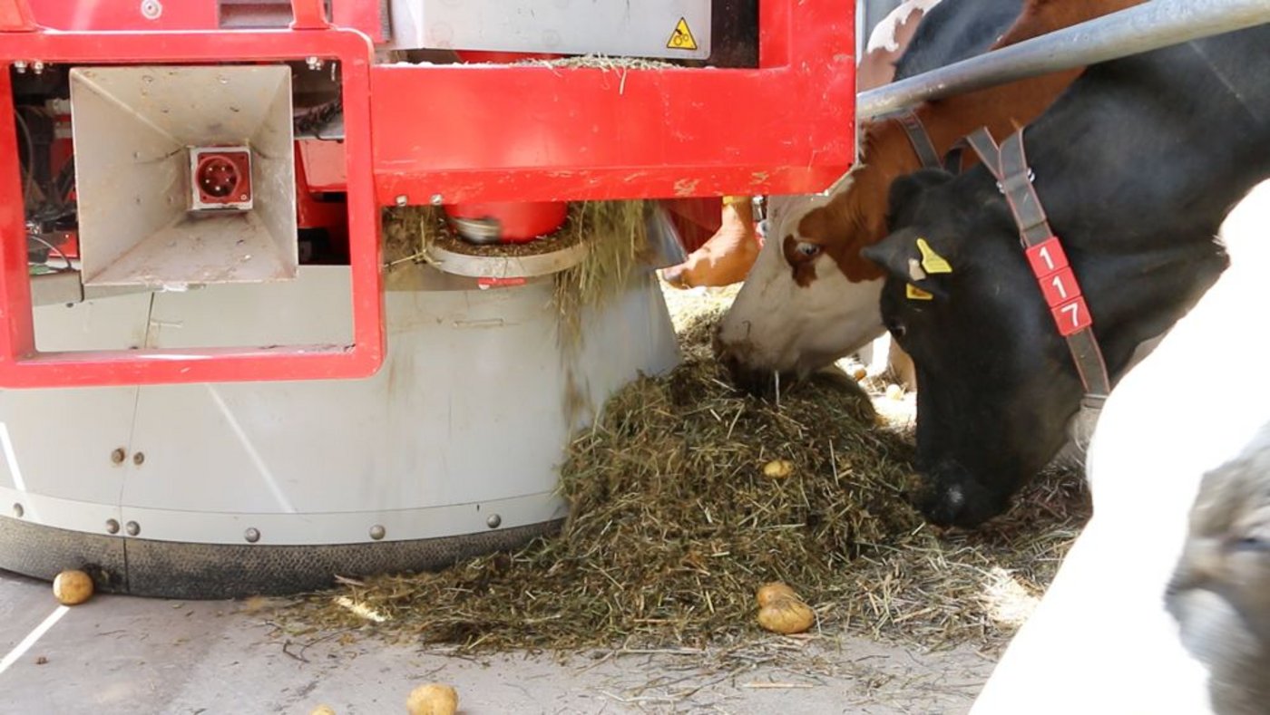 Der Lely Vector beim Ausdosieren der Futterration. (Bild: Simon Möri)