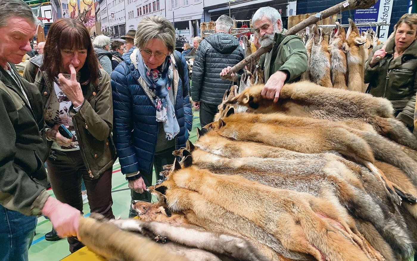 Das Bild täuscht: Am Fälimärt hat es immer weniger Felle. 