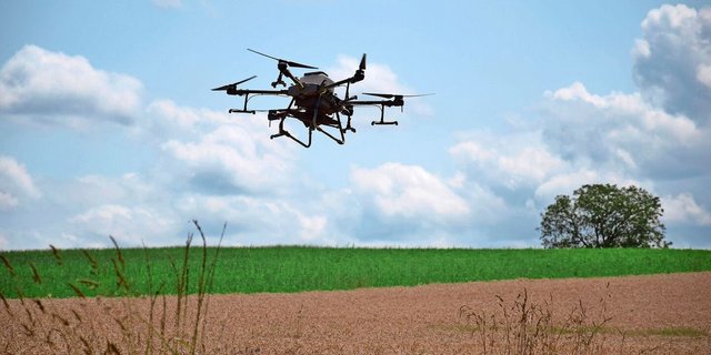 Für eine Hektare braucht die Saatdrohne 15 Minuten. Gesät werden Lichtkeimer, die Hitze und Trockenheit aushalten können.