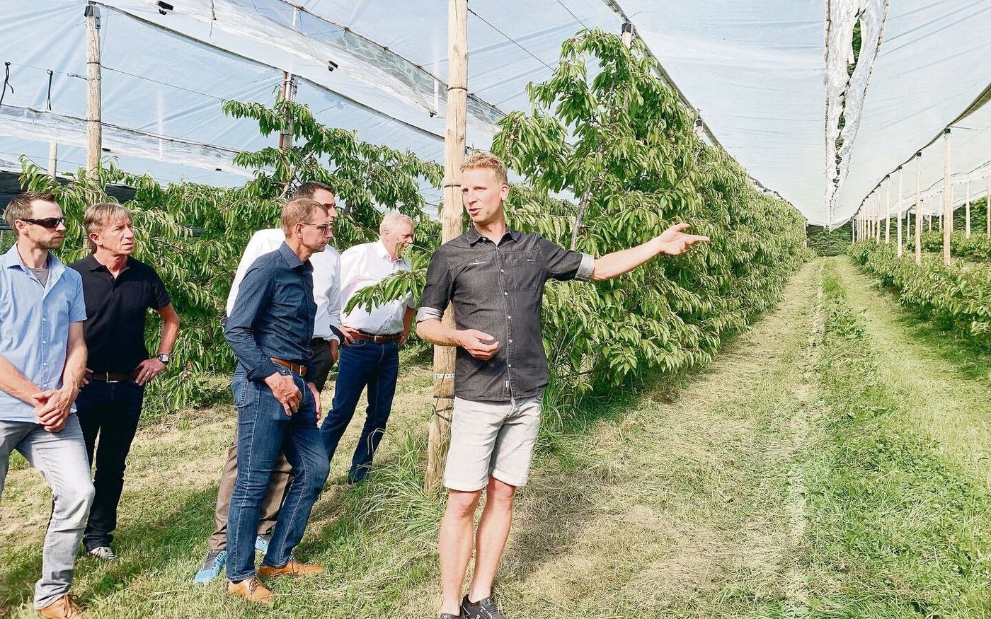 Reto Diener erläutert den Mitgliedern der Luzerner Landwirtschaftlichen Kreditkasse anlässlich deren Generalversammlung Anfang Juni in der Kirschenanlage, was regenerative Landwirtschaft im Obstbau bedeutet. 