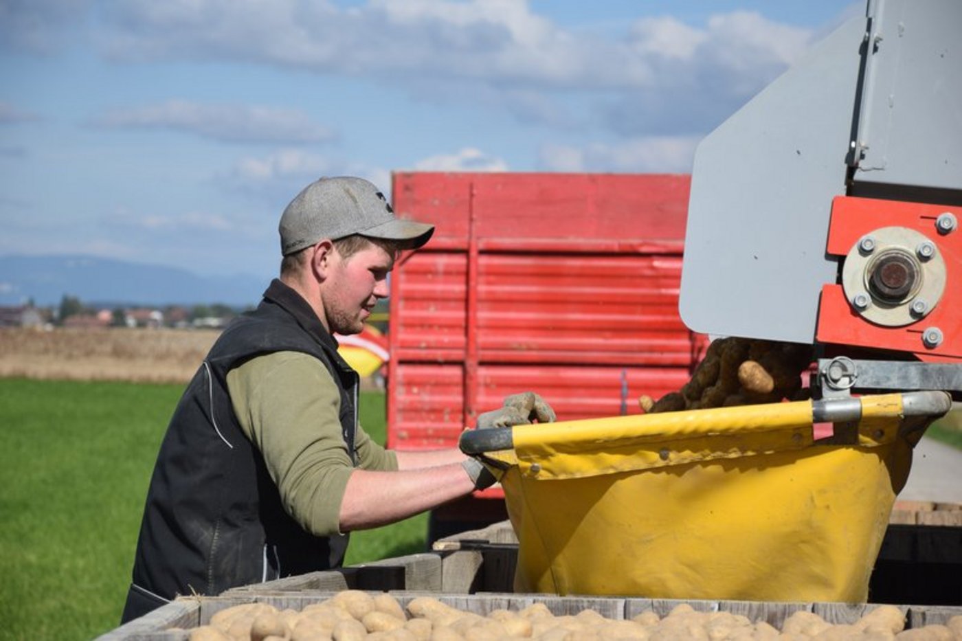 Die Lehre als Landwirt reicht in Zukunft nicht mehr aus, um Direktzahlungen zu erhalten. (Bild Jasmine Baumann)