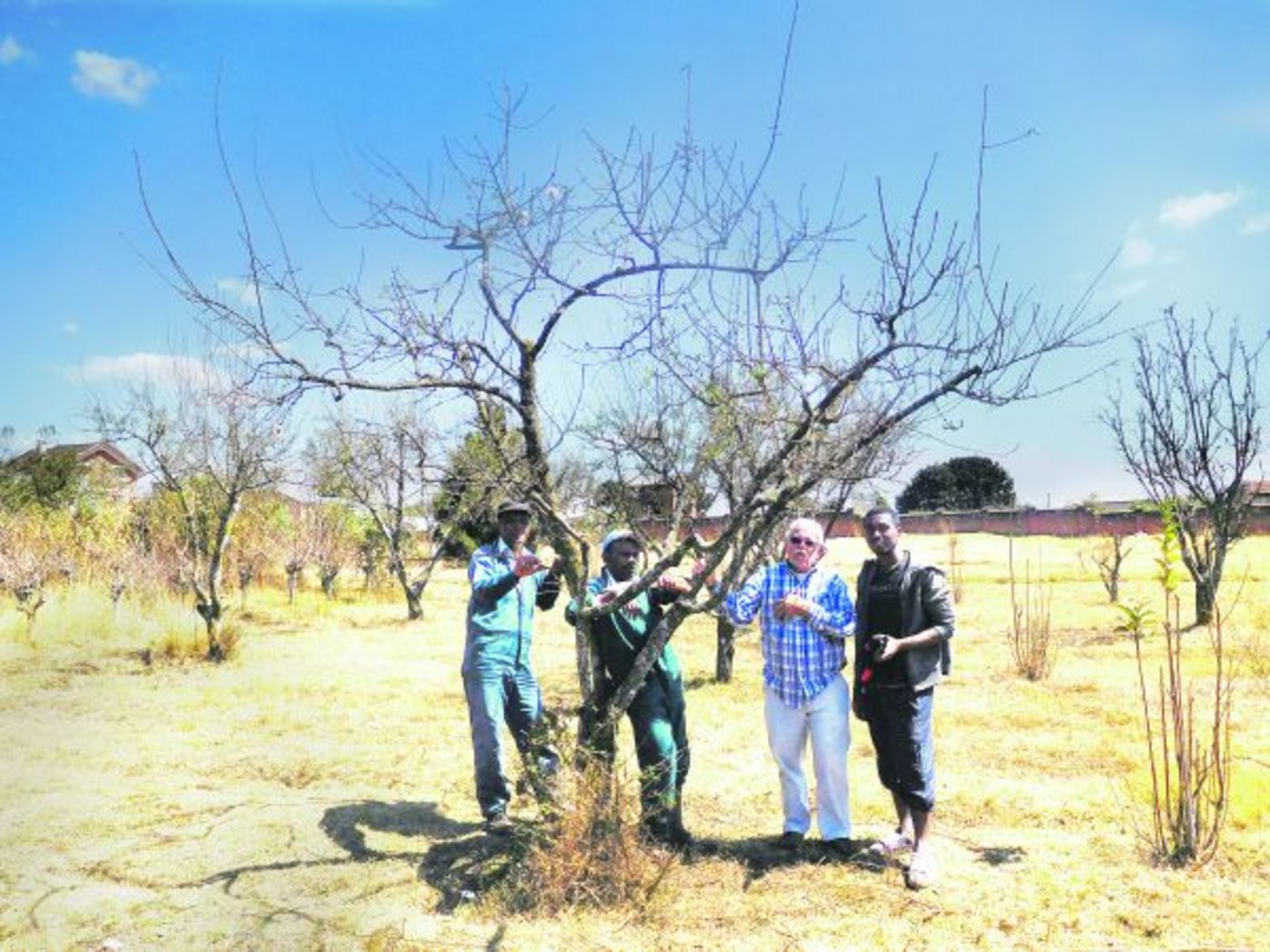 Hanspeter Limacher wird Ende Dezember 80 Jahre alt. Doch sein Auge für gepflegte Bäume hat er behalten. Äusserst passioniert unterrichtet er die madagassischen Kursteilnehmer. (Bilder zVg)
