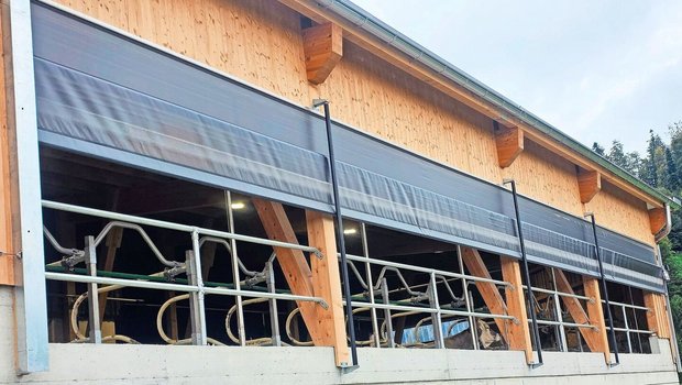 Der Stall von Familie Jud liegt im toggenburgischen Berggebiet. Die Kühe haben eine schöne Aussicht, brauchen aber auch Schutz vor teils garstigem Wetter.