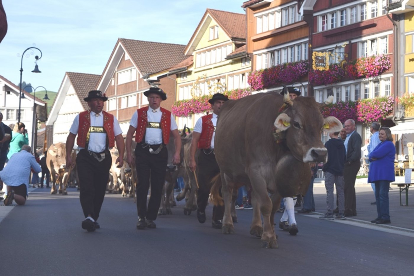 Alpaufzüge und -abzüge sind im Appenzellerland ein Publikumsmagnet. Das Bild zeigt den Alpabzug in Urnäsch im Jahr 2019. (Bild sgi)