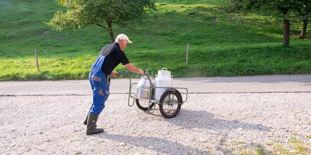 Die Corna-Krise schüttelt den Milchmarkt durch. Das könnte sich positiv auf die Produzenten von Biomilch auswirken. (Symbolbild BauZ)