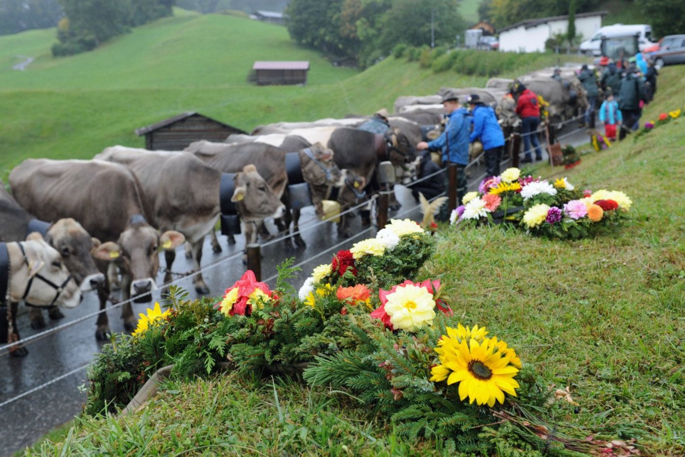 Das nächste Prättigauer Alp Spektakel (hier ein Bild vom Alpabzug 2019) wird 2021 stattfinden. Wenn alles klappt inklusive der Bündner Holzhauerei-Meisterschaft. (Bild alpspektakel.ch)