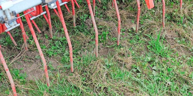 Striegeln von Wiesen zur Verbesserung des Grasbestandes. An der AGFF-Tagung werden auch Maschinen präsentiert, welche dank Übersaaten die Qualität und Quantität des Futters verbessern können. 