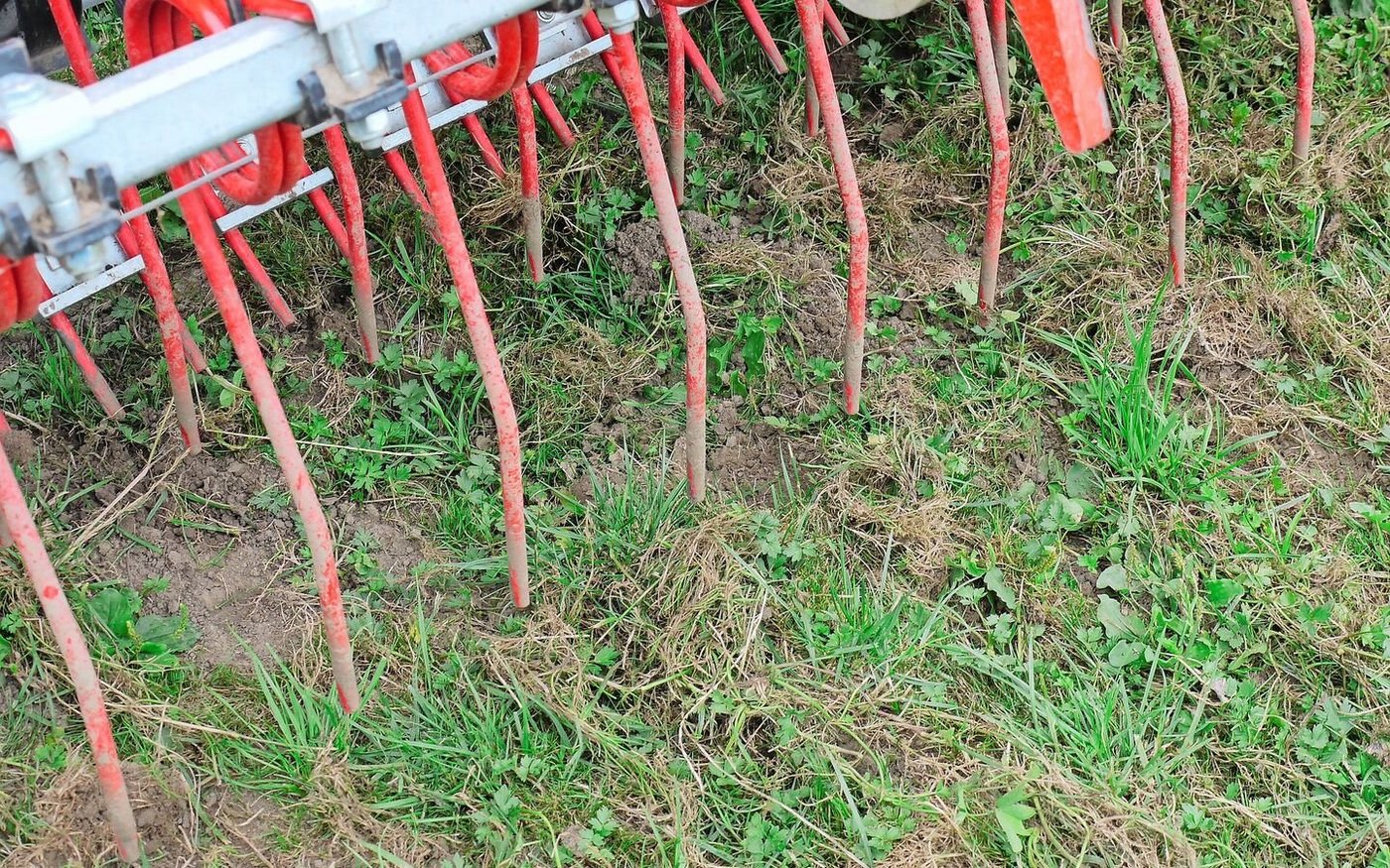 Striegeln von Wiesen zur Verbesserung des Grasbestandes. An der AGFF-Tagung werden auch Maschinen präsentiert, welche dank Übersaaten die Qualität und Quantität des Futters verbessern können. 
