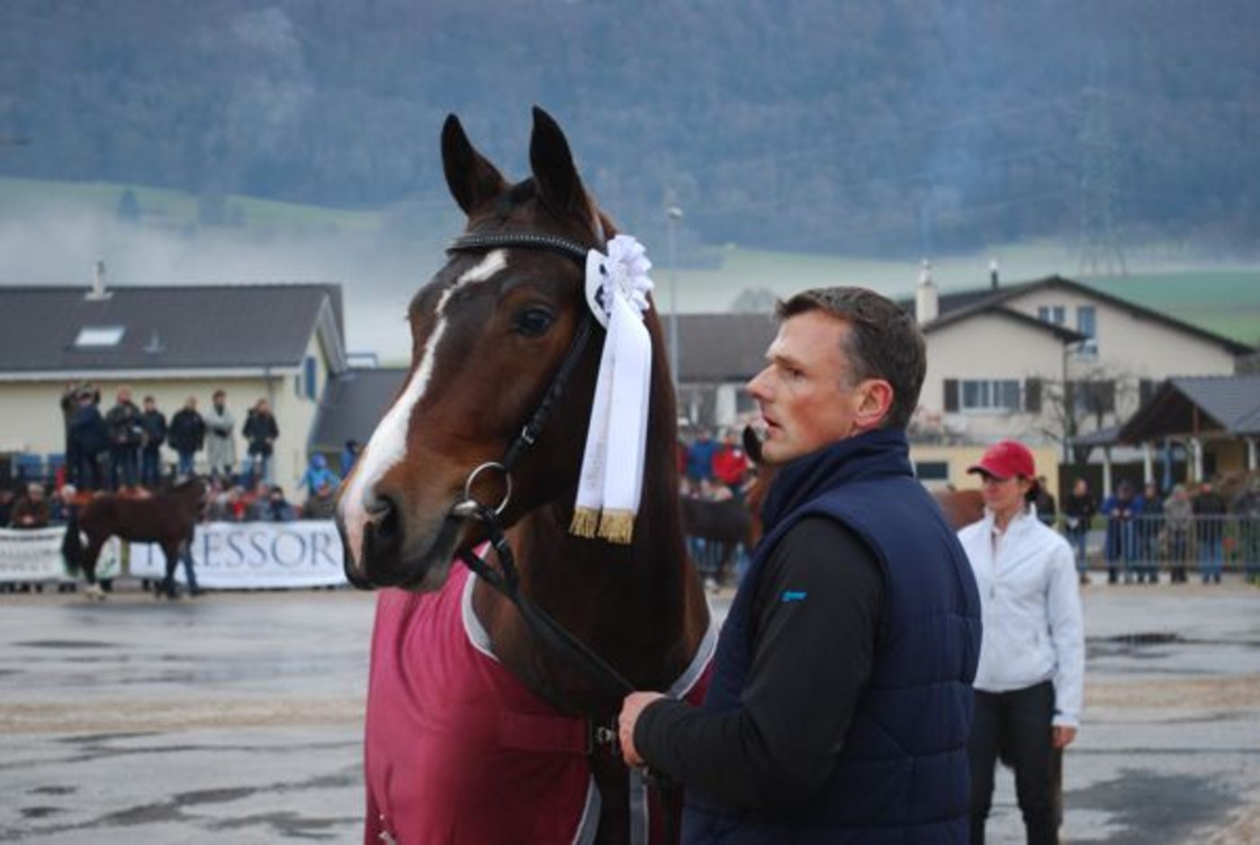 Der Sieger der Hengstselektion in Glovelier: Navaro im Besitz von Urban Burch aus Alpnach Dorf OW..