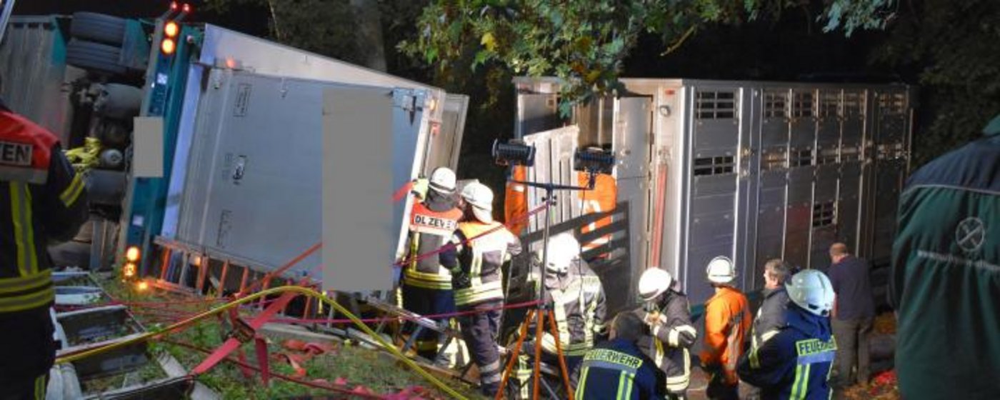 13 Schweine kamen bei dem Unfall ums Leben. (Bild Kreisfeuerwehr Rotenburg)