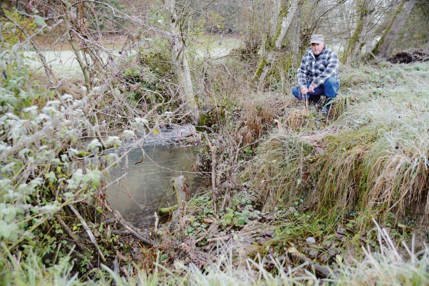 Der Bach wird immer breiter. An mehreren Stellen auf dem Land von Andreas Sägesser entstanden aufgrund von Grabungen der Biber Buchten.(Bild Armin Emmenegger)