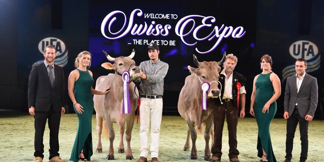 Die Grande Championne Voran Viona (links) von René Imoberdorf, Münster und die Reserve Markus Pamela von Samuel Bergmann, Matten BE.