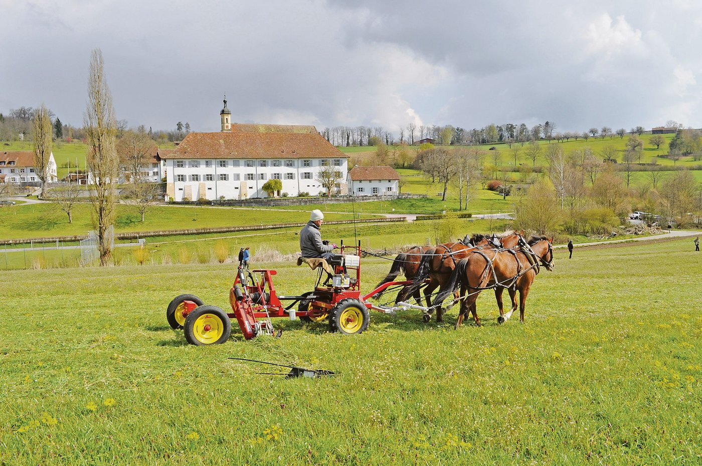 Mähmaschine mit Doppelmesserbalken: Der vordere Teil stammt aus den USA, der hintere Teil ist eine Schweizer Konstruktion. Im Hintergrund der Chlosterhof in Olsberg, der von Ernst Rytz, Präsident der IG Arbeitspferde, bewirtschaftet wird. (Bild Paul Müri)