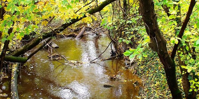 Die Flüsse und Bächer führen zur Zeit wenig Wasser. (Bild Solothurner Bauernverband)