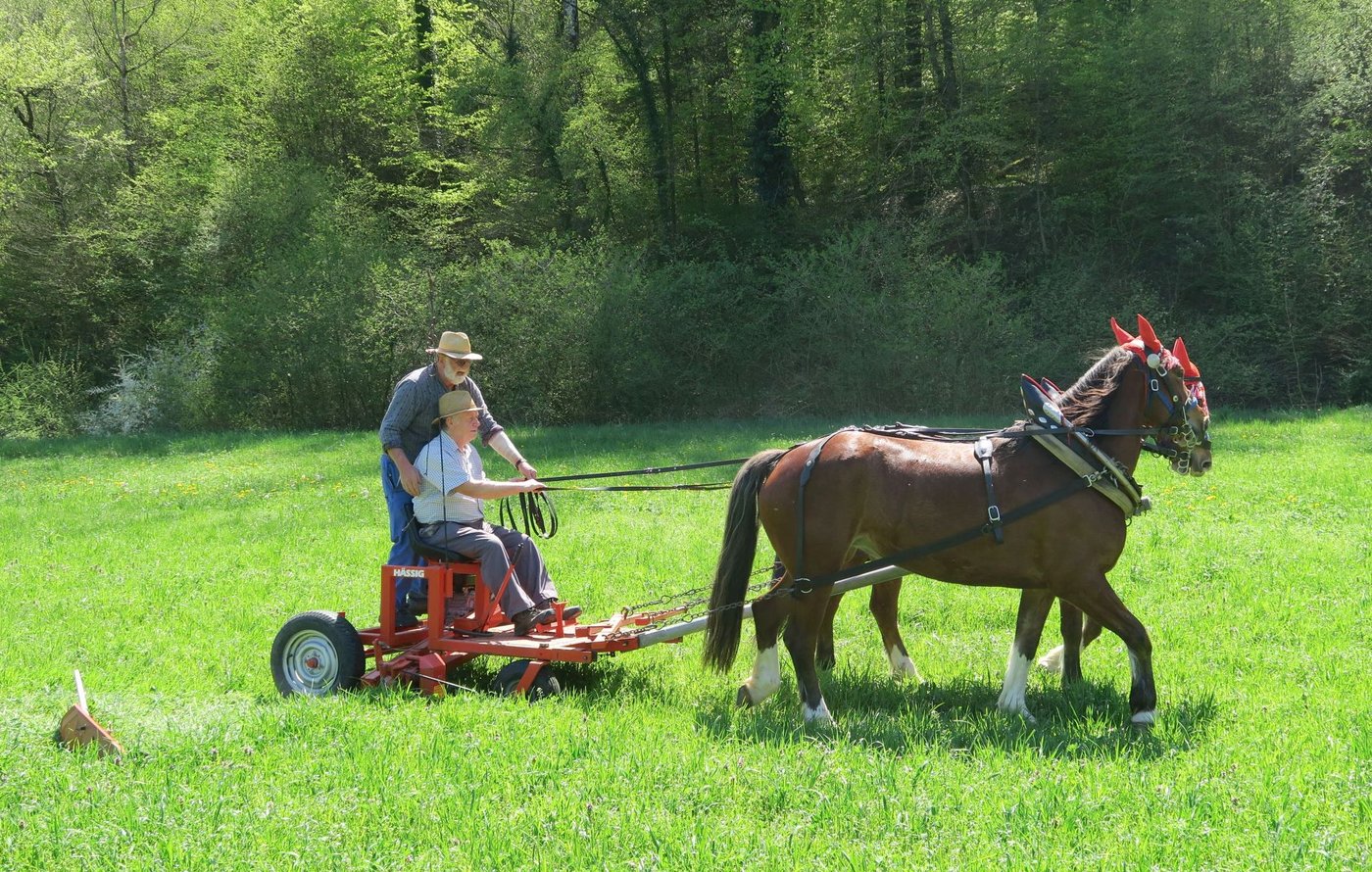 Eine Mähmaschine speziell für den Gebrauch mit Pferden konnte am Kurs ausprobiert werden. (Bild Manuel Ender)