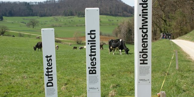 Ein Lockpfosten-Set. (Bild lid)