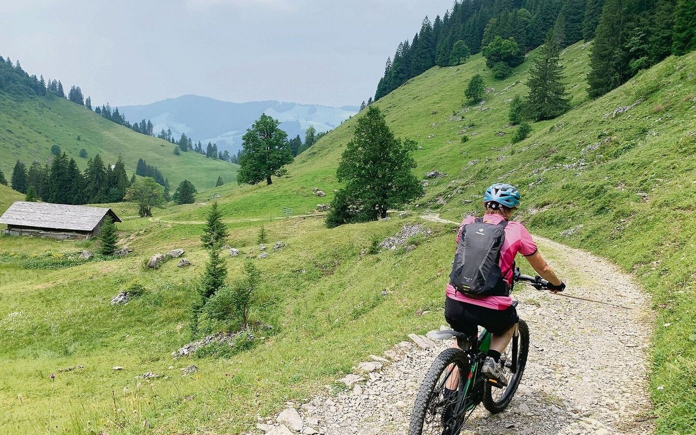 Würden Biker so auf Wegen bleiben, gäbe es weniger Nutzungskonflikte mit der Land- und Alpwirtschaft. 