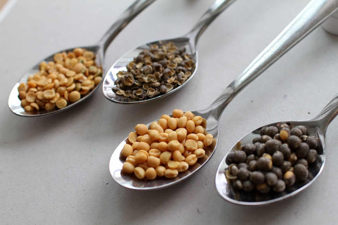 Hülsenfrüchte sind wertvoll als Futtermittel und für die menschliche Ernährung. Pro Jahr werden laut Donau Soja heute 15 Millionen Tonnen pflanzliches Protein in die EU importiert. (Bild zVg/ University of Helsinky)