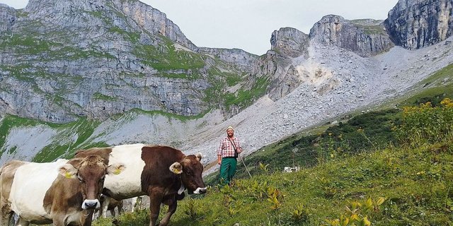Der Muotataler Älpler Bernhard Gwerder vor der Felsabbruchstelle. Teile der von ihm bewirtschafteten Alpweiden und eine Wasserquelle wurden von den grossen Felsmassen verschüttet. 
