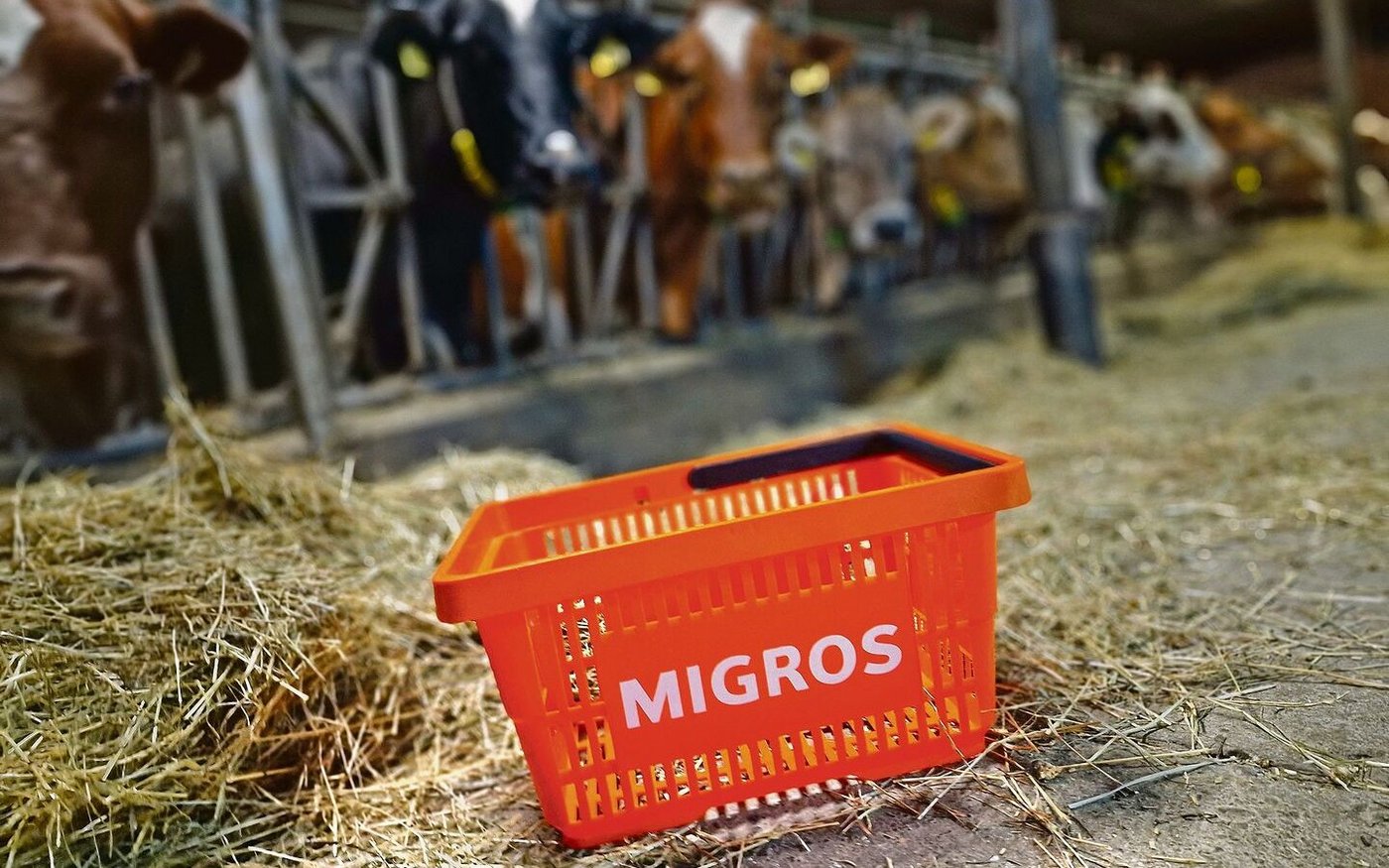 Die Migros-Industrie hat ein Beschaffungsvolumen von 4 Milliarden Franken. Wir wollten von der Migros wissen, wie wichtig ihr beim Einkauf die inländischen Bauern sind.   