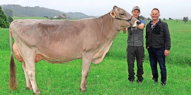 Fredi und sein Sohn Michael Diethelm mit der exterieur- und leistungsstarken Aldo Tochter Zamira