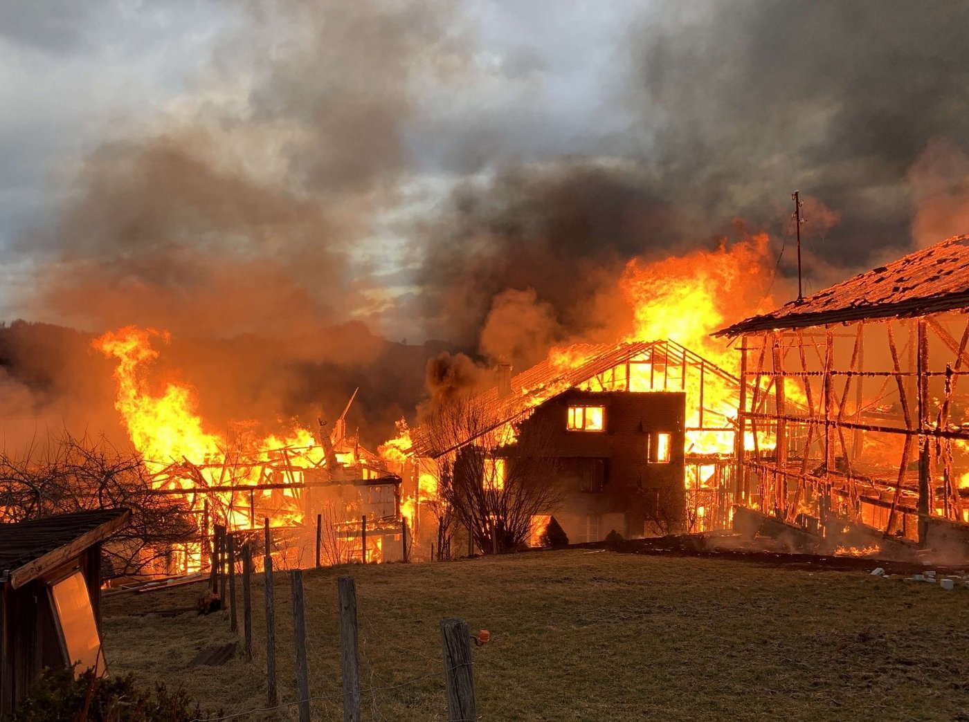 Bis auf einen kleinen Stall standen innert kurzer Zeit alle Gebäude in Flammen. (Bilder Kapo ZH)