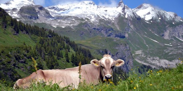 Der Bund will die Bergregionen stärken. (Bild Andrea Gysin)