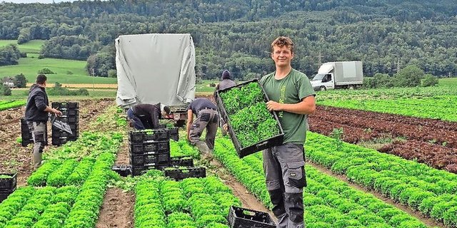 Seine Lehre als Gemüsegärtner absolvierte Linus Rüegg auf dem Betrieb Hubergemüse. Erst nach einigen Wochen auf dem Lehrbetrieb hat sich laut dem Zürcher die Leidenschaft für den Beruf so richtig entfacht.    
