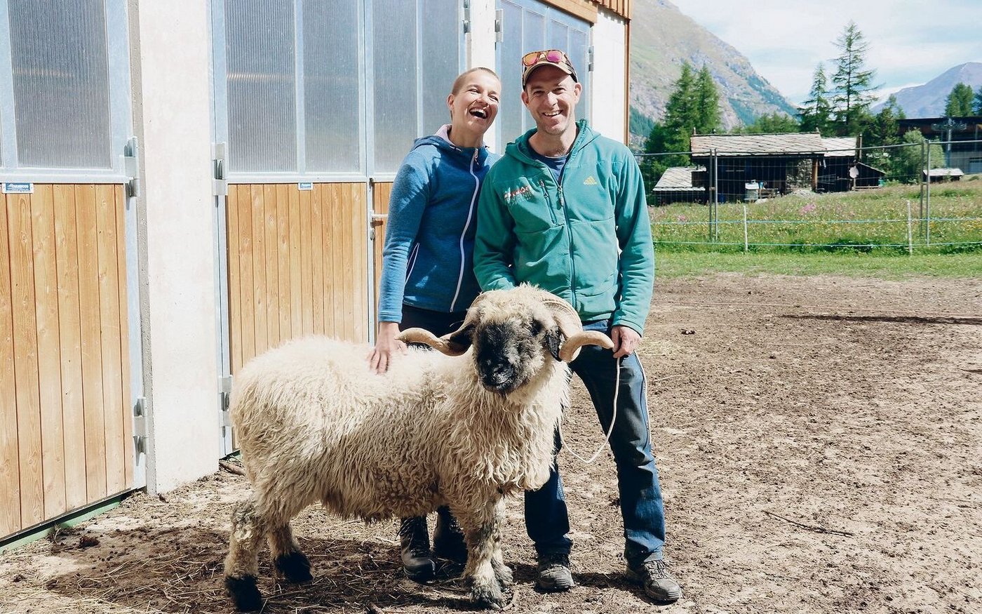 Nadine und Robi Perren mit ihrem Schwarznasenschafbock, zuständig für hundert Mutterschafe. Die Tiere sollen für Familie Perren den Grundstein für eine landwirtschaftliche Zukunft legen.