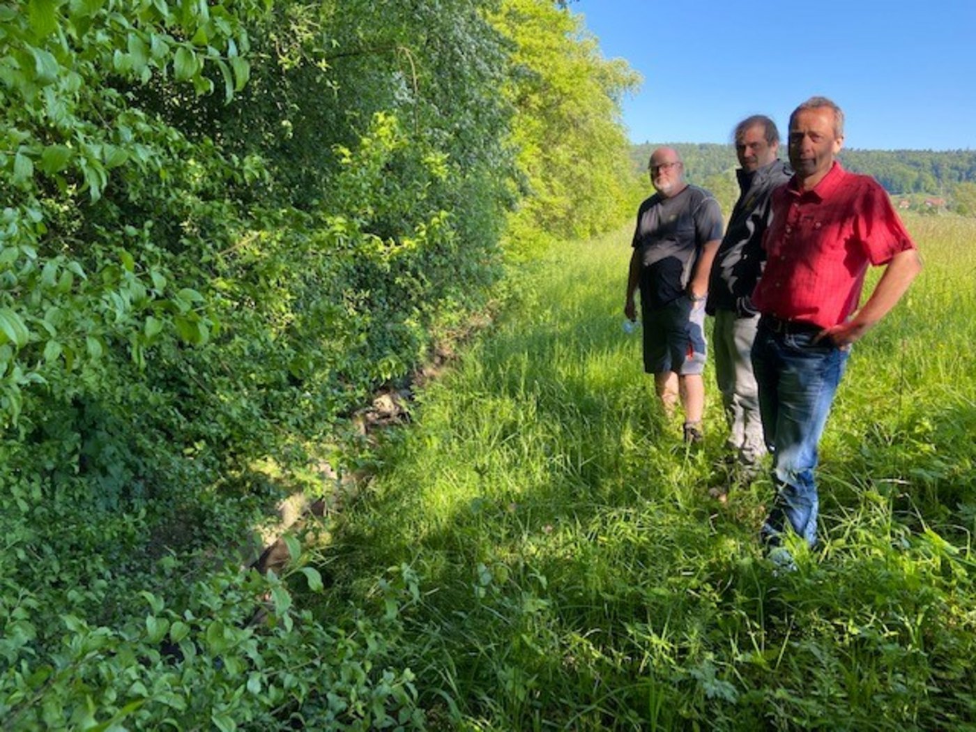 Landwirt Markus Lüscher, Dominik Füglistaller von der HAFL und Michel Gygax von der Fachstelle für Pflanzenschutz Kt. Bern (v.l.) am Chrümmlisbach. (Bild akr)