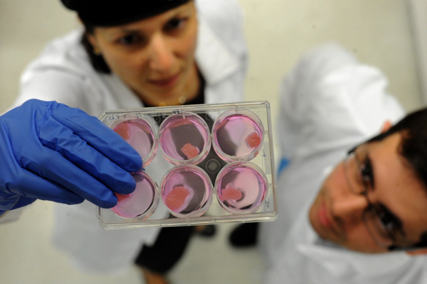 In Israel entsteht Fleisch im Labor. (Aleph Farms)