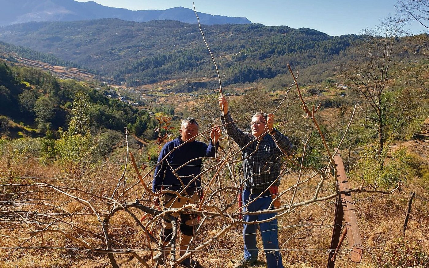 Hans Burger bei einem Einsatz in Nepal auf einer Kiwiplantage auf 2400 m ü. M. Gefragt ist jeweils nicht nur Fachwissen, sondern auch Offenheit für andere Kulturen.