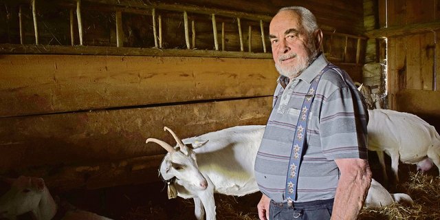 Christian Oesch bei seinen Ziegen: Sie verbringen den Tag  im kühlen Stall. Wegen des Wolf tags zu weiden kommt nicht in Frage, da es zu viele Fliegen und Bremsen hat und die Ziegen dann kaum zum fressen kommen.(Bild Daniela Joder)