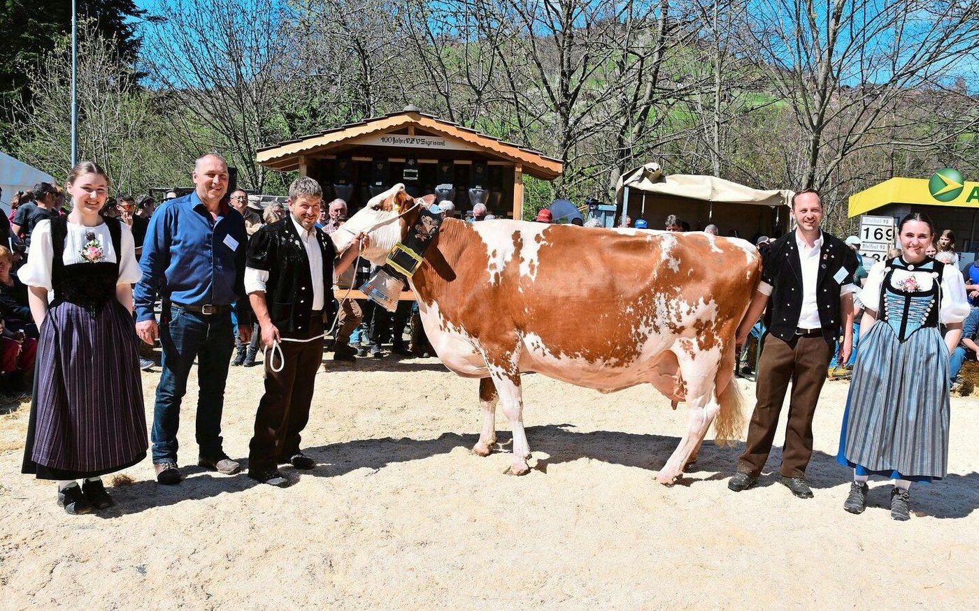 Markus Gerber (2. v. l.), Präsident von Swissherdbook, konnte der Kuh Vinos Alpina von Erwin Zumbach aus Oberhofen die Glocke für die höchste Lebensleistung (78 288 kg) überreichen.