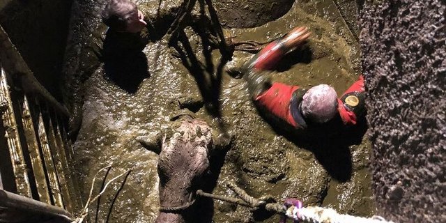 Alte Güllelöcher-Abdeckungen aus Holzbrettern stellen ein grosses Unfallrisiko dar. Aber auch in modernen Ställen lauern etliche Gefahrenquellen. GTRD-Chef Ruedi Keller hat einfache Tipps zur Vermeidung solcher Notfälle.