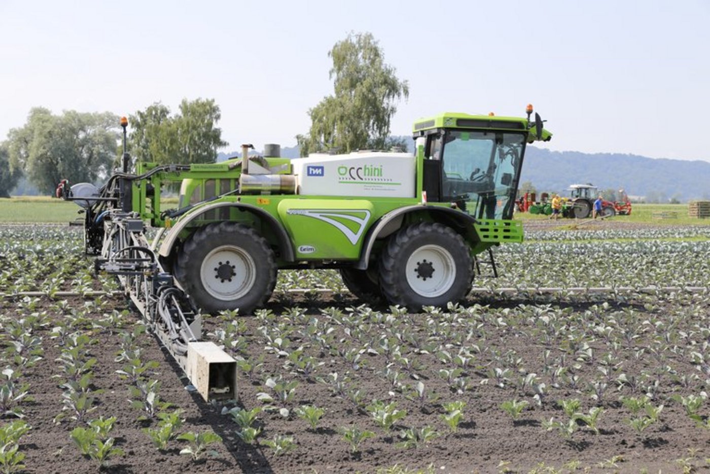 Den Bauern werde der Schwarze Peter zugeschoben, obwohl auch die Politik versagt habe, sind sich Online-Leser von 20 Minuten einig. (Symbolbild lid/ ji)