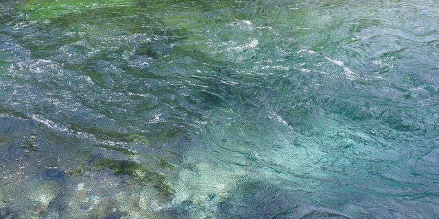 Kanton und Landwirtschaft suchen nach Alternativen um Gewässer zu entlasten. (Bild zVg)