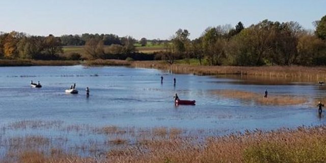 Grosseinsatz im Oktober 2017:  Das Kalb wehrte sich gegen alle Rettungsversuche der Feuerwehr. (Bild Feuerwehr Dassow)