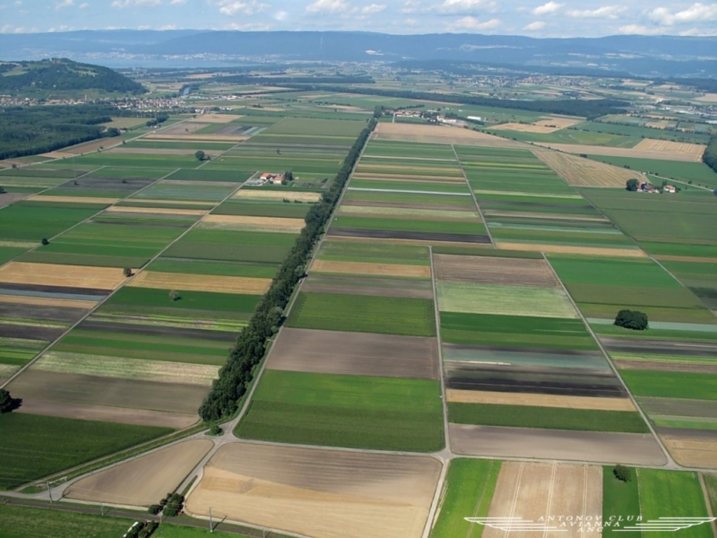 Das grosse Moos zeigt es gut: landwirtschaftliche Böden geben je nach Bearbeitung und Kultur CO2 speichern oder abgeben. (Bild avianna.ch)