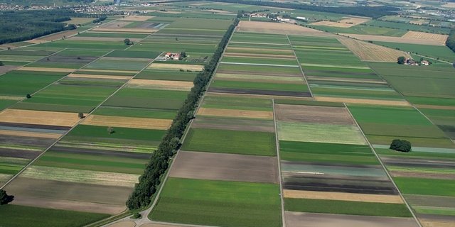 Das grosse Moos zeigt es gut: landwirtschaftliche Böden geben je nach Bearbeitung und Kultur CO2 speichern oder abgeben. (Bild avianna.ch)
